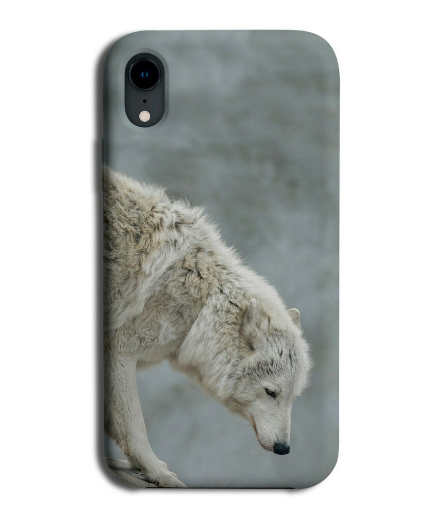Artic Wolf Picture Phone Case Cover Photo Image Photograph Wolves G950