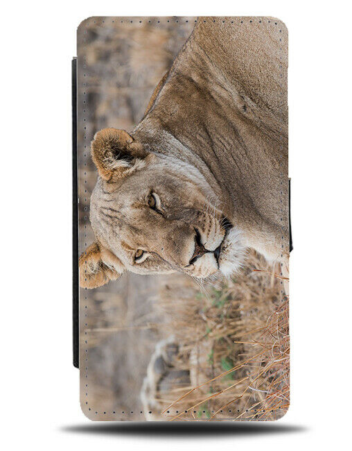 Lioness In Africa Flip Wallet Case Photo Picture Photograph Lion H919