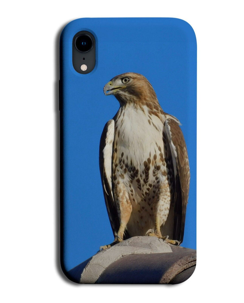 Falcon Bird Of Prey Phone Case Cover Wild Nature Birds Hawk Falcons Eagle Q947