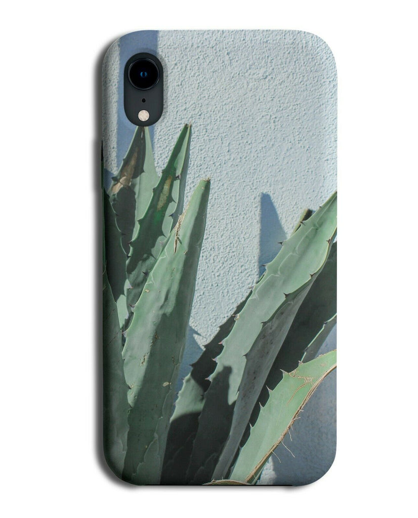 Cactus Picture With Blue Sky Background Phone Case Cover Plant Clear Photo G905